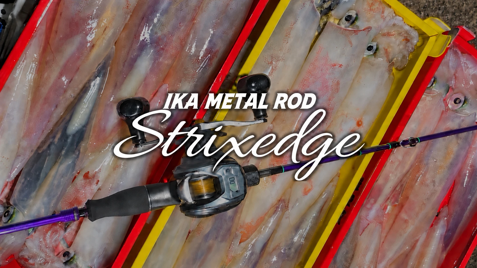 STRIX EDGE